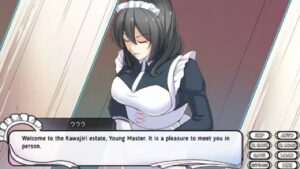 Maid Life 1