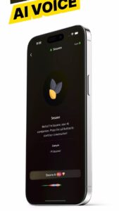 Sesame AI 1