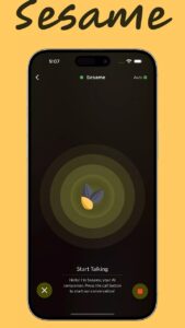 Sesame AI 3