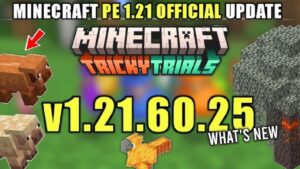 Minecraft 1.21.60.25 1