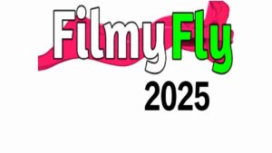 Filmyfly 1