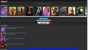 Filmyfly 2