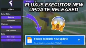 Fluxus Executor 2