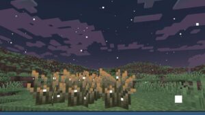 Minecraft 1.21.70.24 3