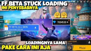 FF Beta Cek Bio 3