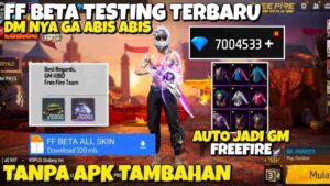 FF Beta Testing 2