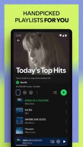 Liteapks Spotify 3
