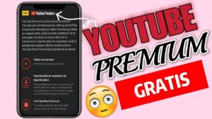 YouTube Music Premium 4